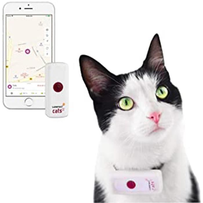 Cats 2 - Le plus petit collier GPS pour chat au monde