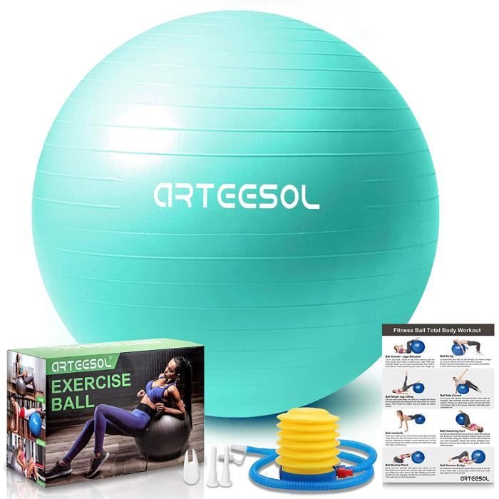 arteesol Ballon Fitness, Swiss Ball, Ballon Grossesse, Ballon Gym Ball Yoga Ballon d'exercice Balle de 45cm-55cm-65cm-75cm-85cm A145