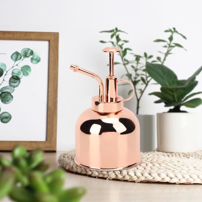 Belle pression de main arrosoir pot vaporisateur de plantes d'intérieur accessoires de plantes d'intérieur-QIN
