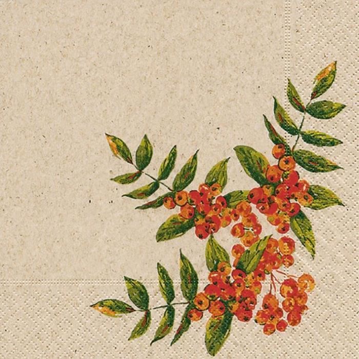 PAPER + DESIGN - 25 Serviettes recyclée 33x33 cm 2 plis roWan berry