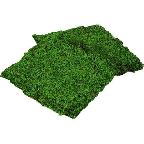 Plaque de mousse naturelle 30x30 cm