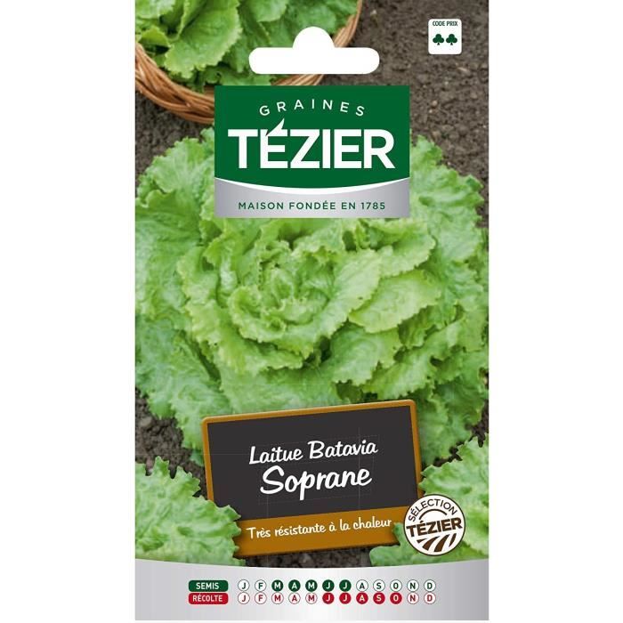 Sachet Graines - Tezier - Laitue Batavia Soprane sélection Tézier (G.B.) - Sachet légume petit modèle - (Mois de semis de 3 à 7)