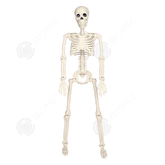 Sirène Squelette Halloween - Décoration Grandeur Nature (85 Cm) - Plastique Réutilisable - 4