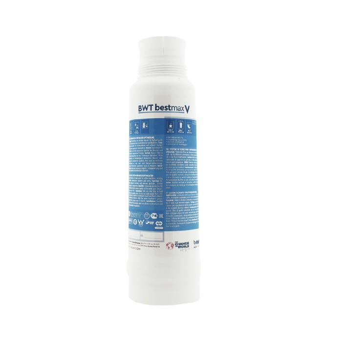 Cartouche de filtre à eau BWT Bestmax V FS23100A00