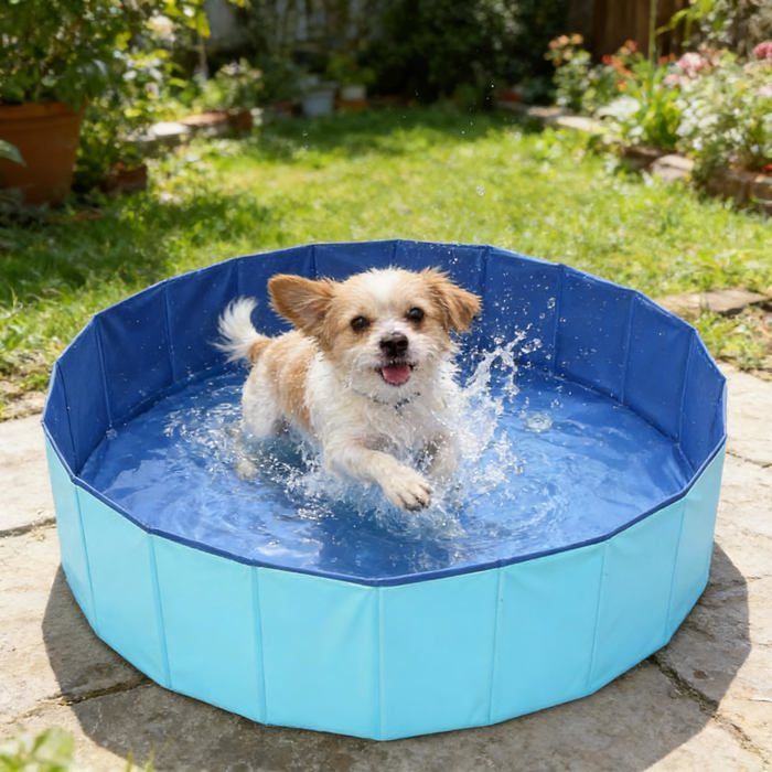 Piscine Chien Pliable PVC - M Anti Glissant Baignoire pour Animal Compagnie Cuneary