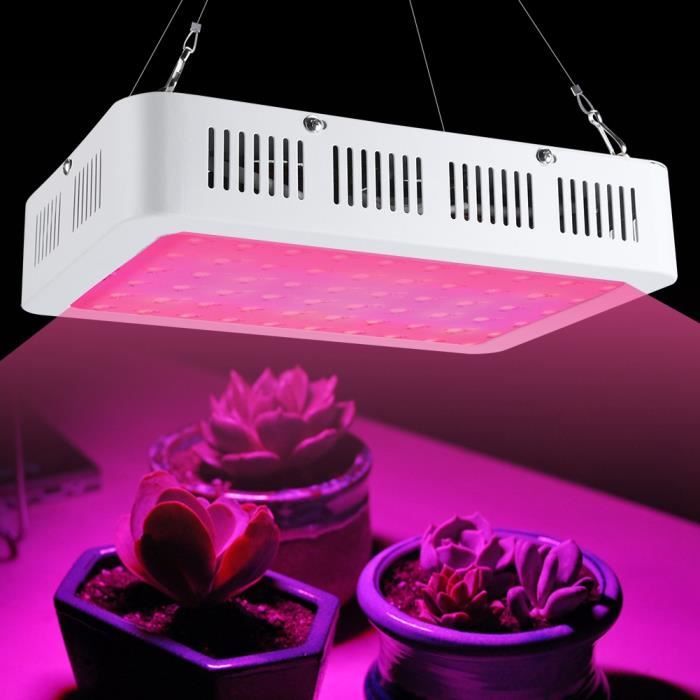Lampe Horticole LED Domigard 70W – Spectre Complet Pour Plantes D’intérieur