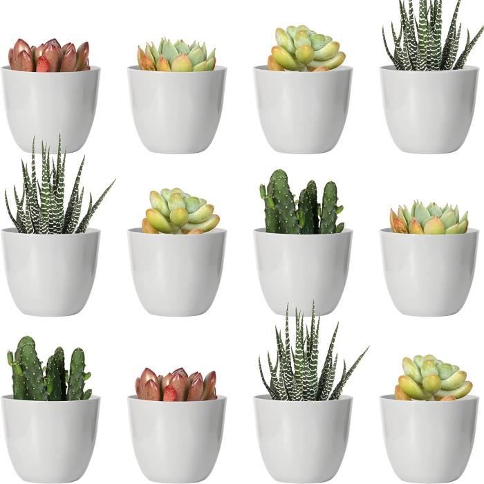 Lot De 24 Figurines Grenouilles Lumineuses - Décorations De Jardin, Plantes, Micro Paysages - 2