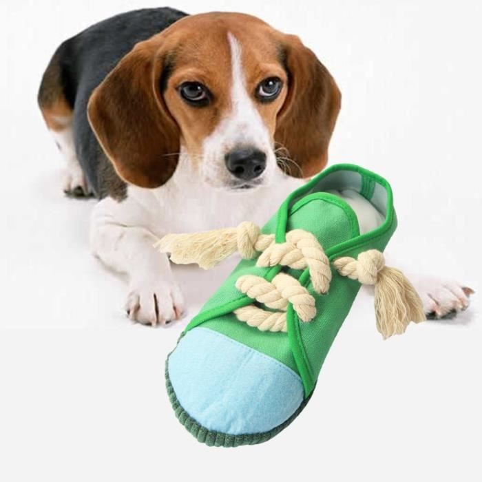 jouet chaussure pour chien