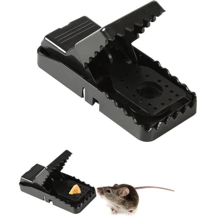 Pieges A Souris Brico Depot