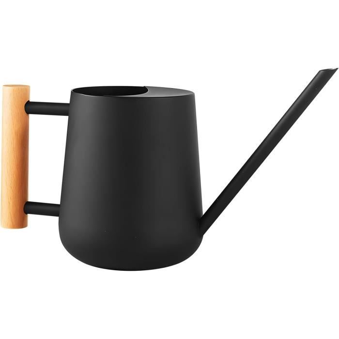 Arrosoir Précision Acier Jenngaoo Arrosoir Bec Long 300ml - Acier Inoxydable Pour Plantes D'intérieur Pot Arrosage 300ml Acier Inoxydable