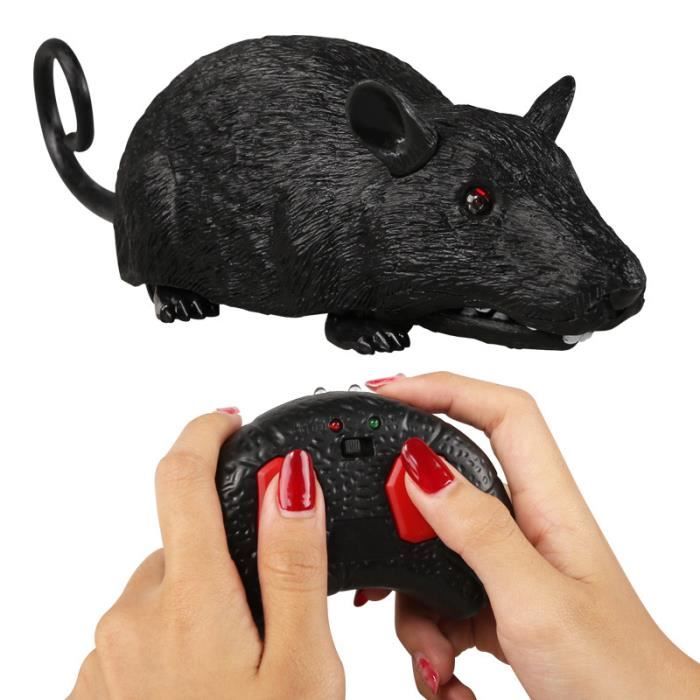 Jouet Pour Chat Wireless Telecommande Electronique Les Souris Souris Souris Du Jouet Jouet Pour Chat Achat Vente Poupee Cdiscount