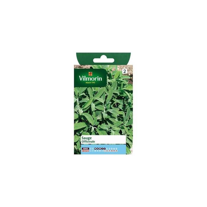 Sachet graines de Sauge Officinale - VILMORIN - Aromatique - Hiver - Potager et verger