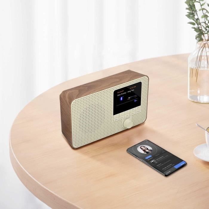 Panasonic RF-D15EG-K, Radio Numérique Portable Dab+/FM, Bluetooth