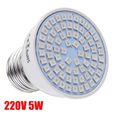 5W 220V E27 LED Plante Culture Croissance Lampe Ampoule Horticole Spectrum 72LEDs-0