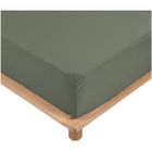Draps Housse - PROMO LINGE - Percale - 200x160cm - Kaki