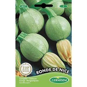 GRAINE - SEMENCE Germisem graines Courgette RONDE DE NICE[134]
