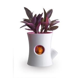 DaoRier Cache-Pots Jardiniere Pot de Fleurs Céramique Simple Pure Rose pour Decor Intérieur