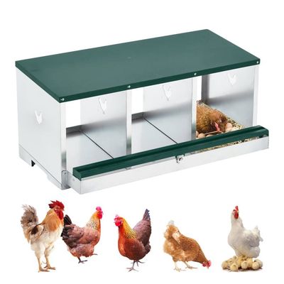 Pondoir à Poules En Métal Galvanisé 8 Compartiments Avec Pieds - Fond Inclinable, Ramassage Automatique Des Œufs, Aération Optimale, Facile à Nettoyer
