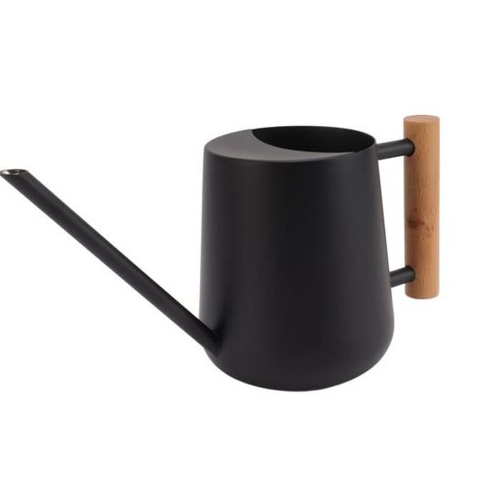 Arrosoir En Acier Inoxydable 900 Ml – Design Moderne, Long Bec, Finition Brossée – Pour Plantes D'intérieur Et Extérieur