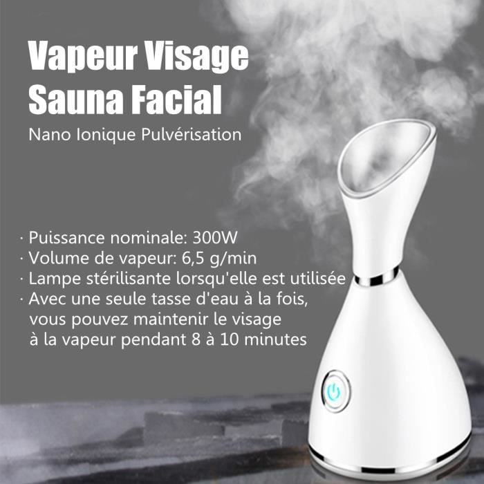 Vapeur Visage Sauna Facial Nano Ionique Pulvérisateur 65ml 300W - Inhalateur Machine Soins de Nettoyage Peau