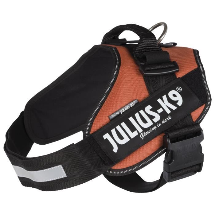 JULIUS-K9 Harnais Power IDC - 2 - L-XL : 71-96 cm-50 mm - Orange cuivré - Pour chien