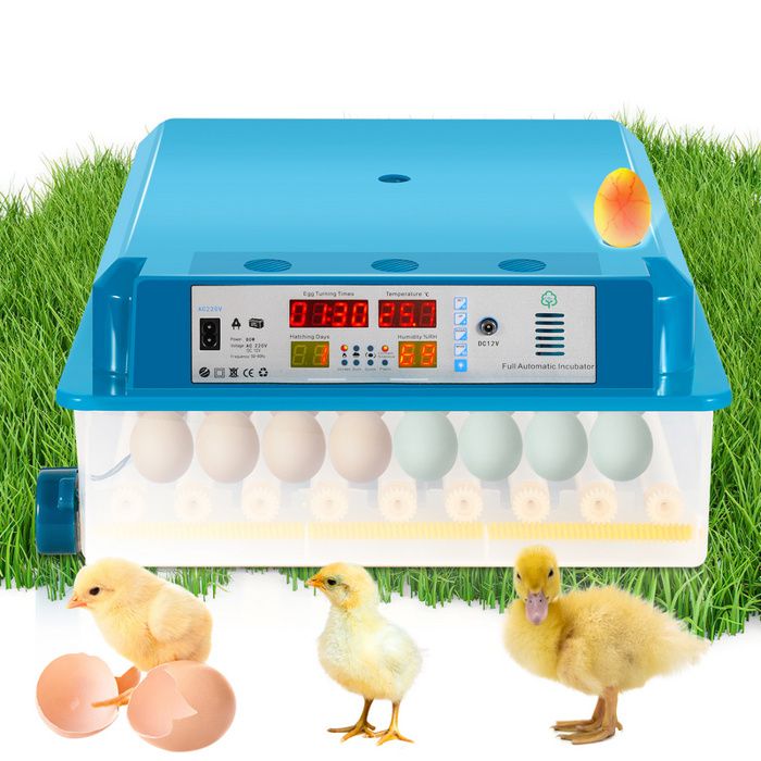 Meilleurs prix pour Eulenke Couveuse Thermomètre à œufs de poule Couveuse Incubateur pour  64 œufs de poule COUVEUSE INCUBATEUR