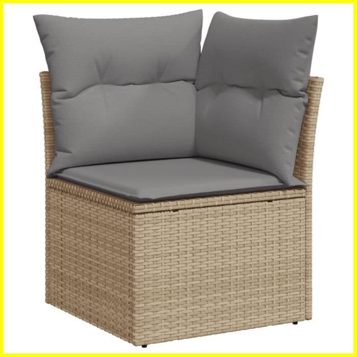 Canapé dangle de jardin avec coussins beige résine tressée -BK366086 (PLA)
