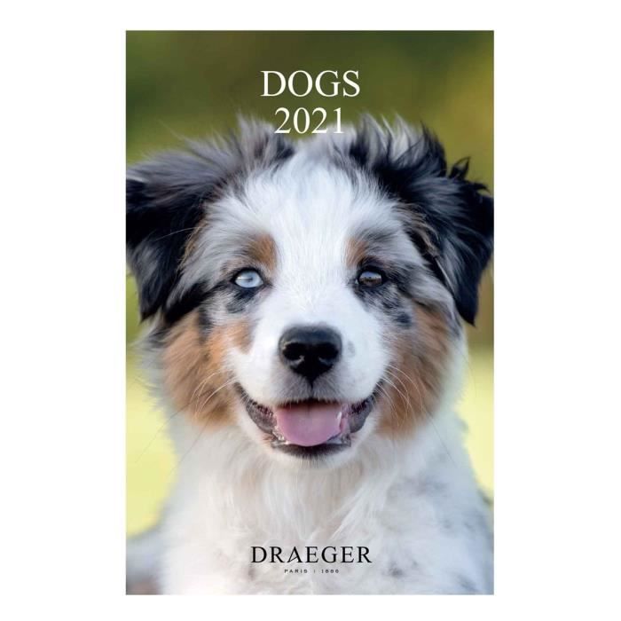 Draeger La Carterie Agenda De Poche 2021 Chien Multicolore Achat Vente Agenda Organiseur Draeger La Carterie Cdiscount