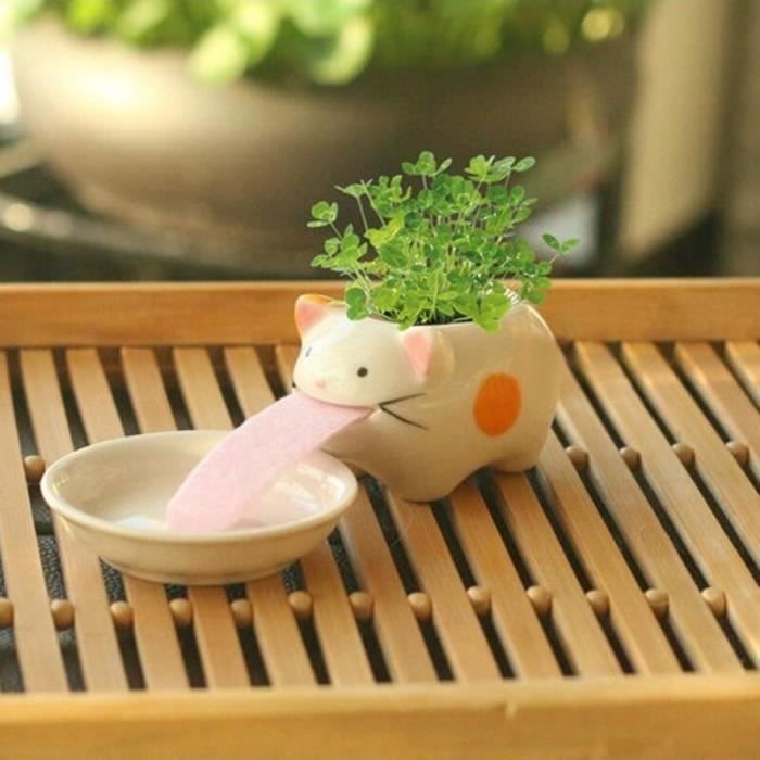 Petit Pot De Fleurs En Ceramique Jolie Grenouille Cochon Ours Polaire Chat Dessin Anime Plantes Succule Cdiscount Jardin