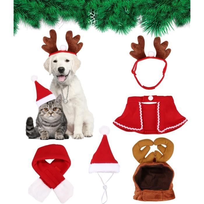 Habit chien noel best sale