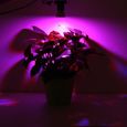 5W 220V E27 LED Plante Culture Croissance Lampe Ampoule Horticole Spectrum 72LEDs-1