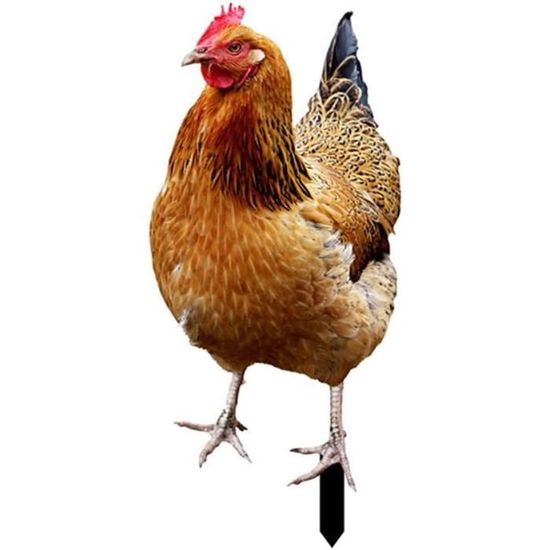 Starnearby Statue De Jardin Poule En Acrylique 2D – Décoration Extérieur Coq Poussin Pâques, Piquet à Planter, Silhouette Mignonne Pour Pelouse Et Potées