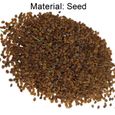 CZ05529-GRAINE - SEMENCE  400 piècessac graines de thym rampantes à haut rendement graines de bonsaï vivaces faciles style-Blue1-2