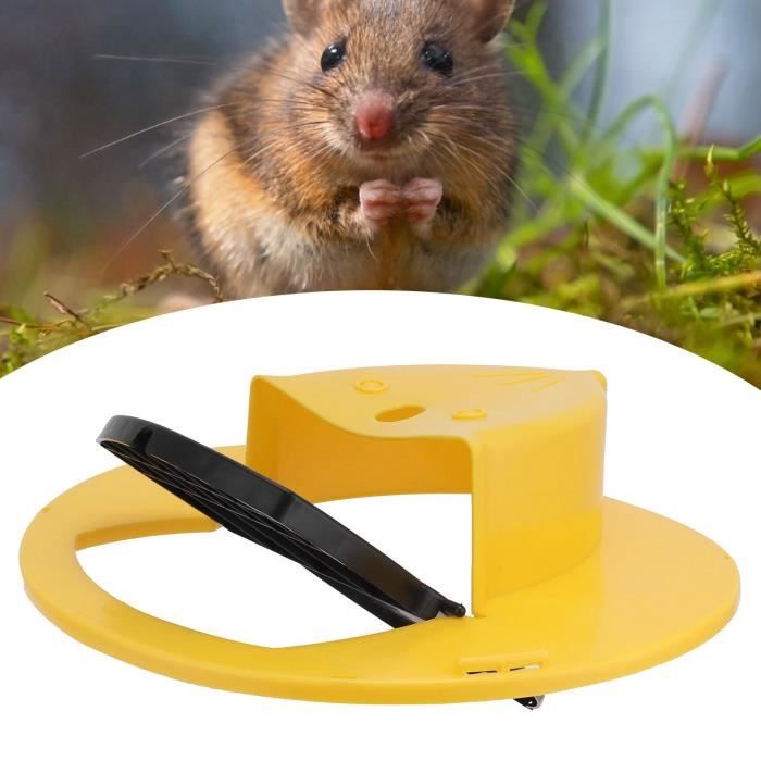 AJW-Piège À Souris Sans Cruauté Humain Et Réutilisables Non Toxique Piège À Rats Taille Énorme