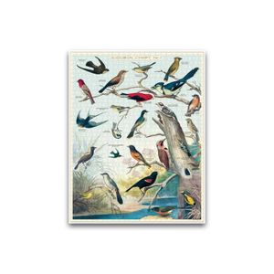PUZZLE Puzzle - Vintage Déco - Oiseaux - 1000 pièces - Bl