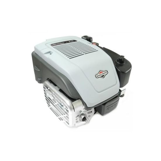 Moteur tondeuse BRIGGS & STRATTON Series 875 OHV 190cc Demarreur