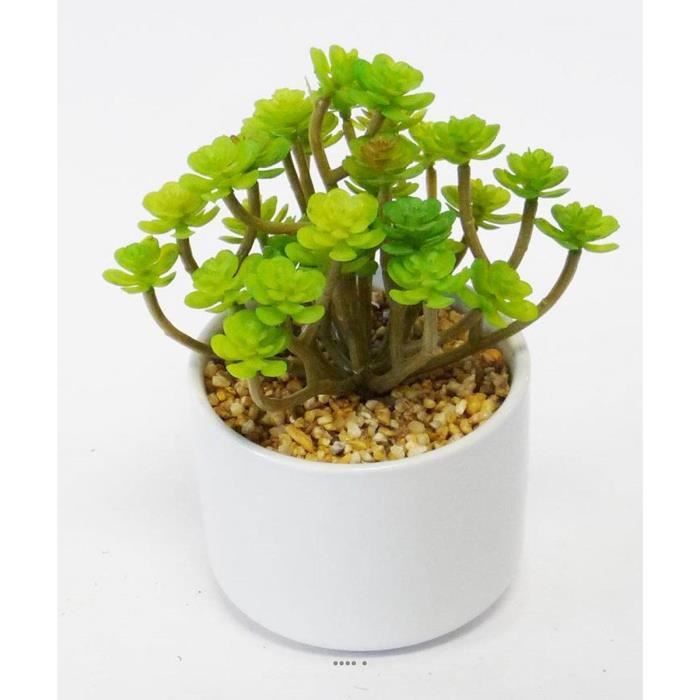 Sedum Cactus Agave Succulente plante artificielle cactee en pot ceramique H 20 cm Vert Type A