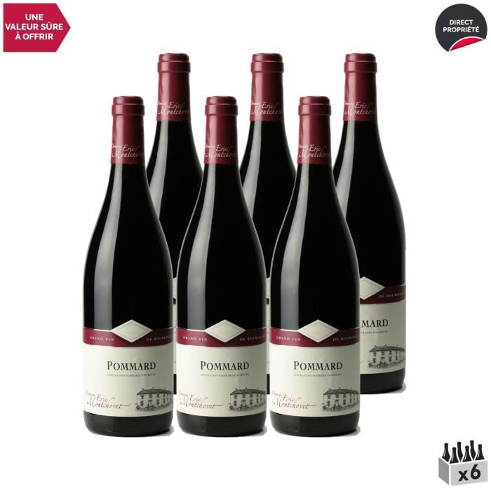 Pommard Rouge 2015 - Lot de 6x75cl - Domaine Eric Montchovet - Vin AOC Rouge de Bourgogne - Cépage Pinot Noir