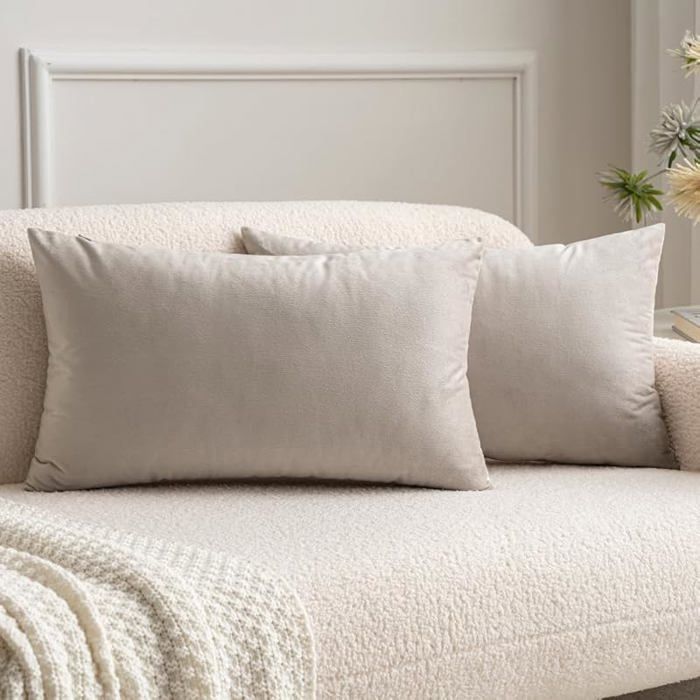 Lot de 2 Housses de Coussin en Velours Décoratif Canapé Taie d& 39 oreiller Super Lisse Doux Decoration 60 X 40 C HOUSSE DE COUSSIN