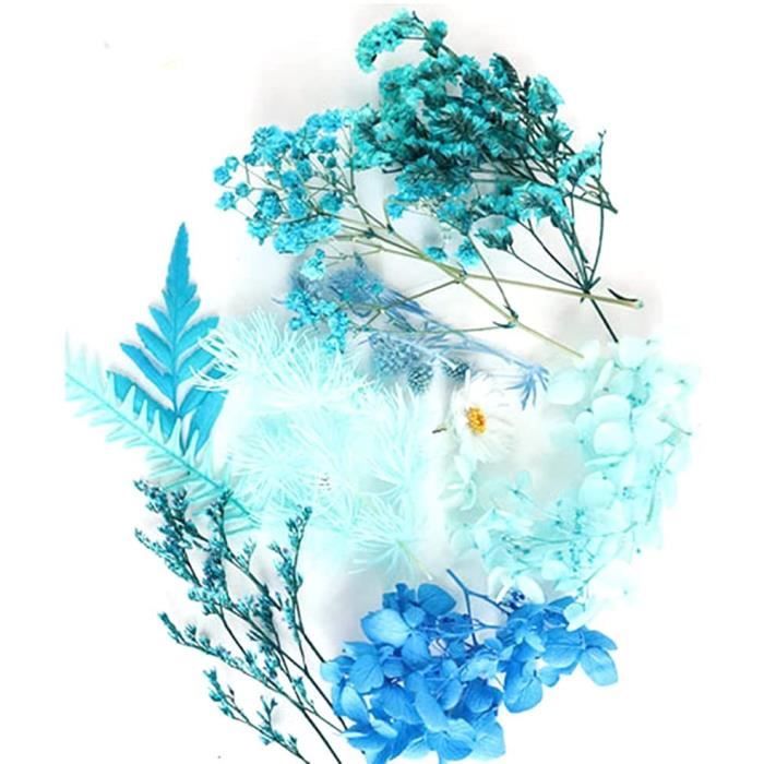 Scrapbooking Bleu Fabrication Bijoux Pendentif Artisanat Fleur Sèche Naturelle Artisanat Floral pour Résine Feuilles Pétales Fleurs Faits Main 1 Boîte Bouquets Fleurs Séchées 