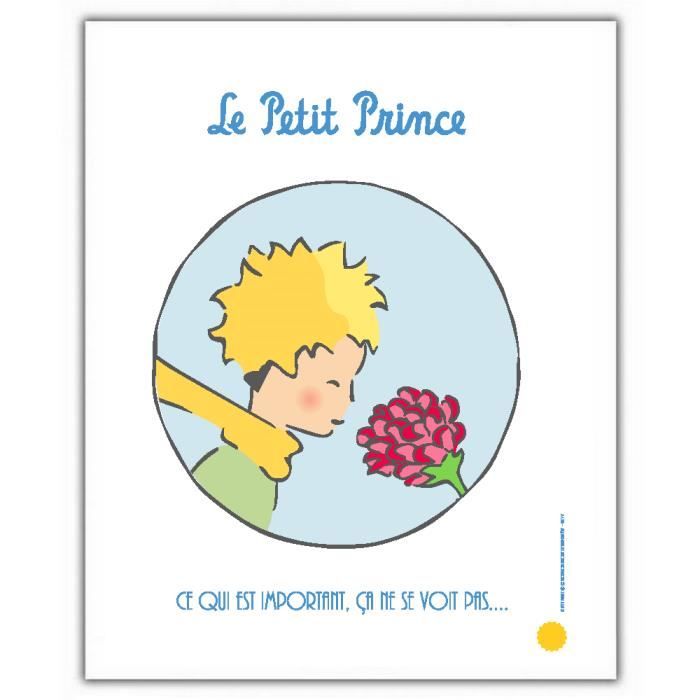 Poster Affiche Offset Le Petit Prince Avec La Rose 18x24cm Cdiscount Maison