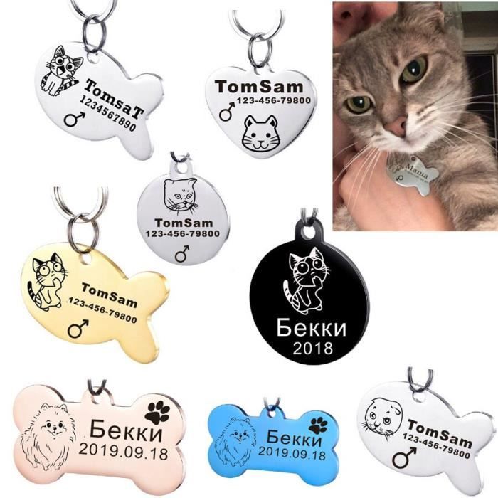 Collier Chaton Personnalisable Cdiscount