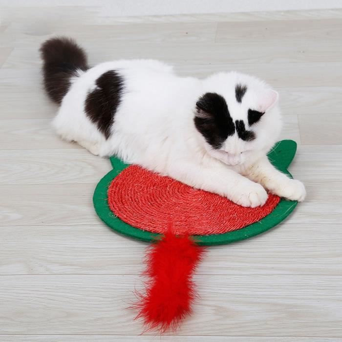 Sisal Griffoir A Chat Style Noel Vert Et Rouge Griffoir Mural Tapis Sisal De Chat 380 380mm Achat Vente Arbre A Chat Sisal Griffoir A Chat Style Cdiscount Sisal Griffoir A Chat Style Noel Vert Et Rouge Griffoir Mural Tapis Sisal De Chat 380 380mm Achat Vente Arbre A Chat Sisal Griffoir A Chat Style Cdiscount