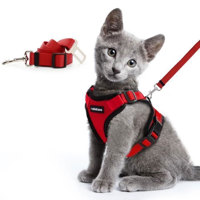 Meilleurs prix pour Rabbitgoo Harnais Chat Harnais pour Chat Laisse Harnais Chat Rouge XS Réglable Respirant avec Laisse à double usage pour voiture