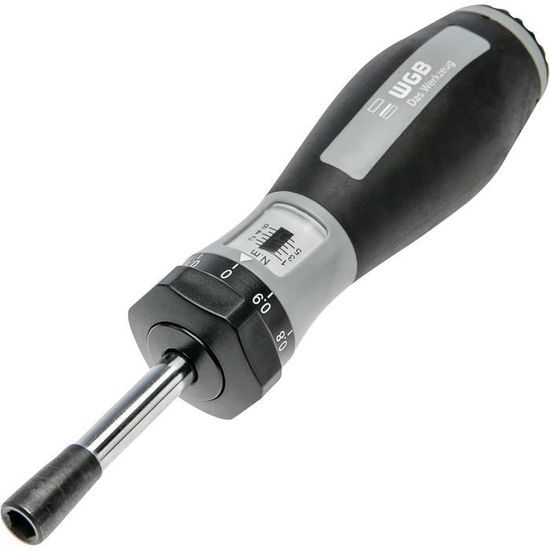 BRILLIANT TOOLS BT141904 Clé Dynamométrique 1/2" Avec Tête à Cliquet Réversible 10-100 Nm [Powered By KS TOOLS