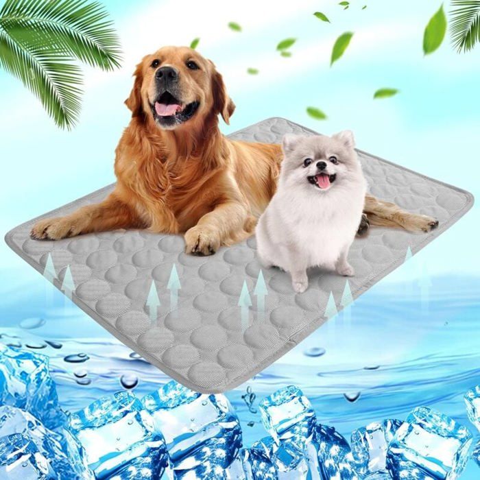 Tapis Rafraîchissant - YYV - M - 60x50cm - Lavable - Antidérapant - Confortable