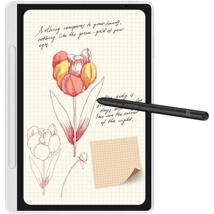 Tablette Liseuse XPPen Magic Note Pad 1095 avec Stylet X3 Pro 16K