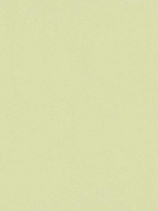 Erismann 10350-18 Collection Collage Papier Peint Intissé