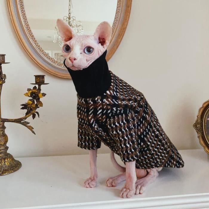 Pull pour chat sphynx 2025
