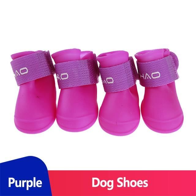 Purple dog best sale shoes